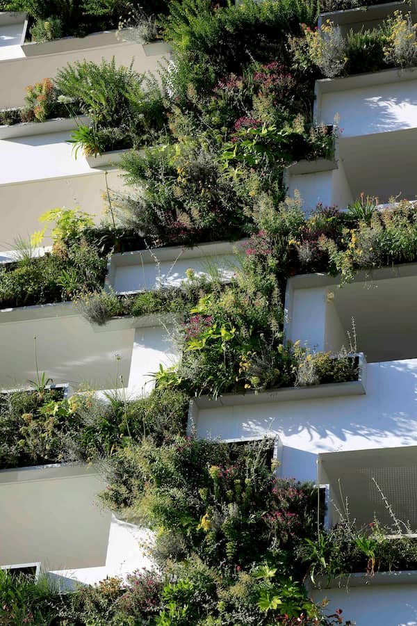 Balcone green con piante