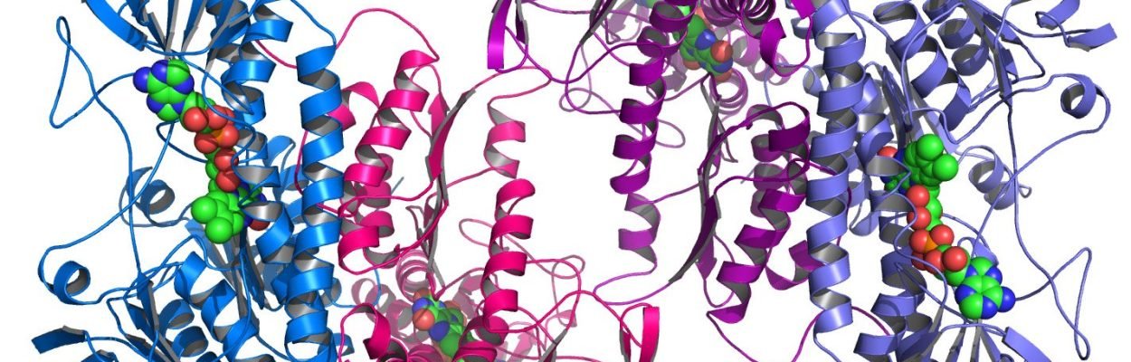 intelligenza artificiale google proteina biologia